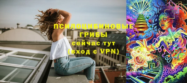 ALPHA PVP Алексин