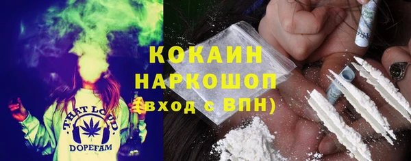 индика Абаза