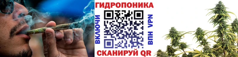 МАРИХУАНА конопля  даркнет клад  Котлас 